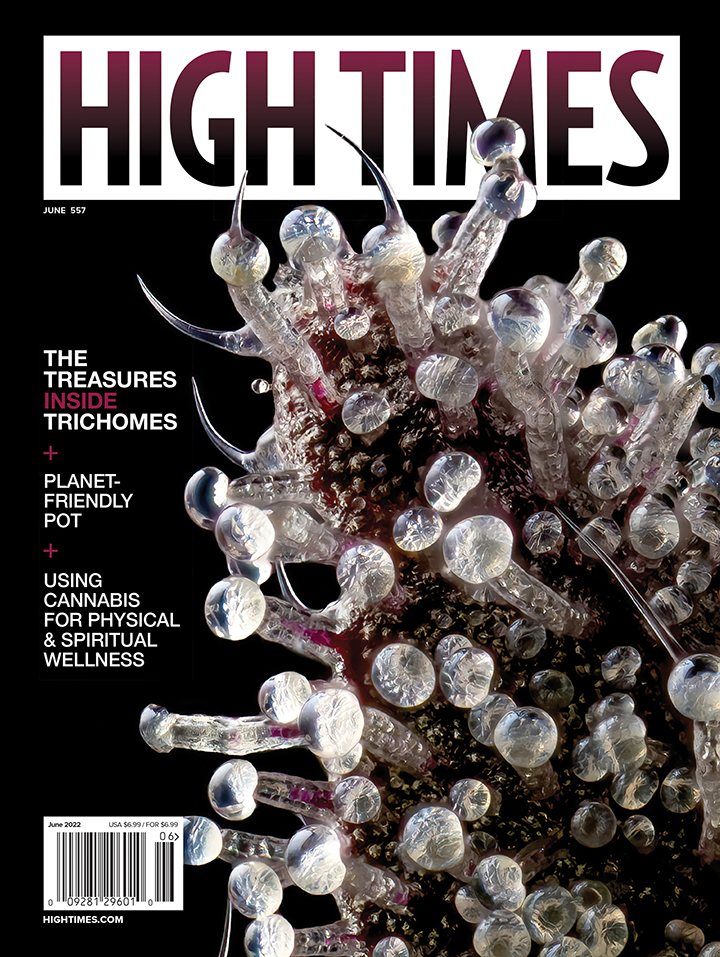 High Times Magazine - June 2022
